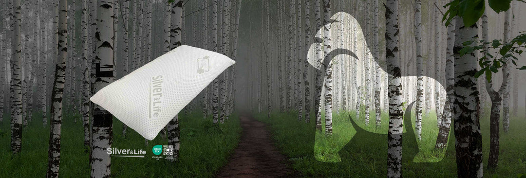 Warum sind Silberionen im Nackenkissen Silver Neck sinnvoll?