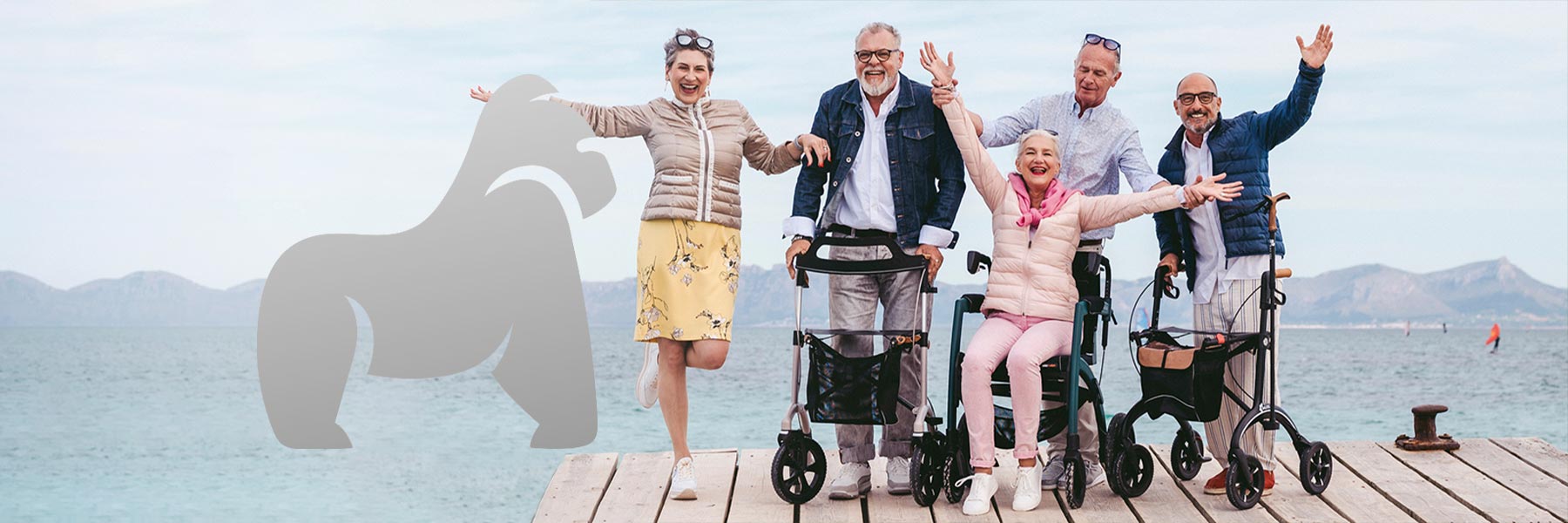 Rollator Walker by Brands