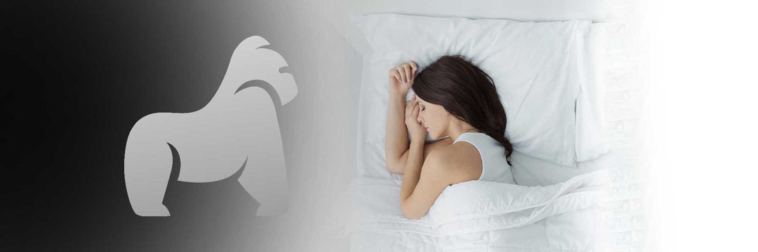 Gorilla-Gesund-schlafen-43-1800x600