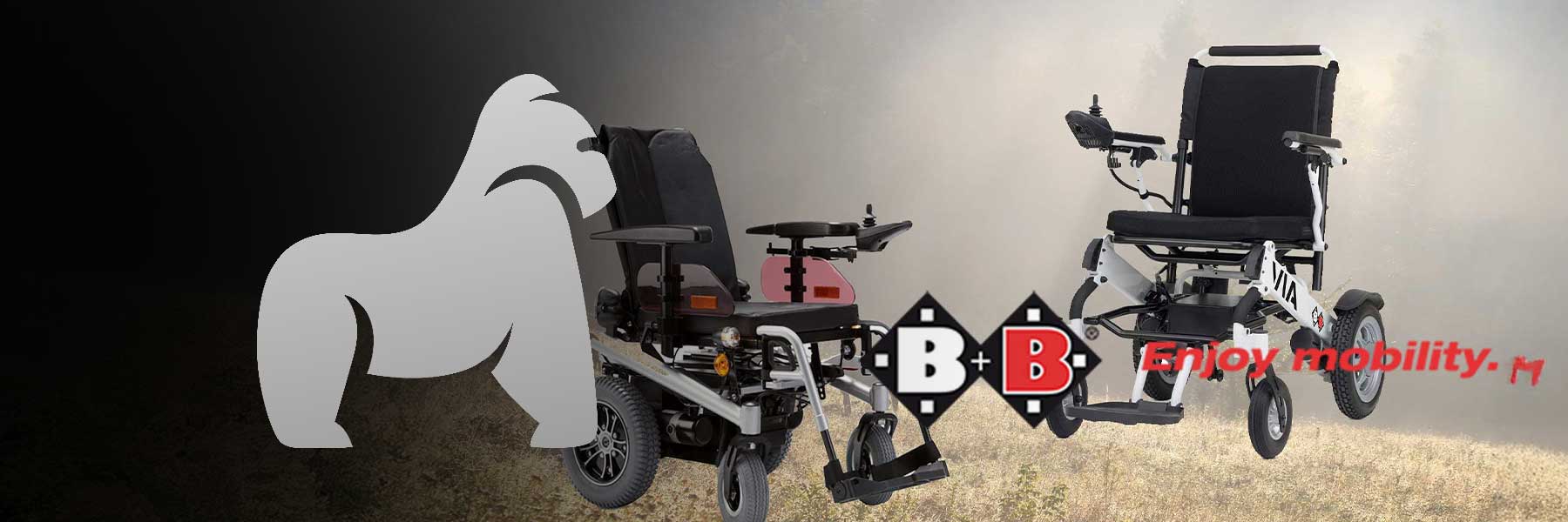 値下げです。ウェリックス　ST  ローラー　新品 Order Rollator Walker from Bischoff & Bischoff 🦍 – Gorilla Gesund