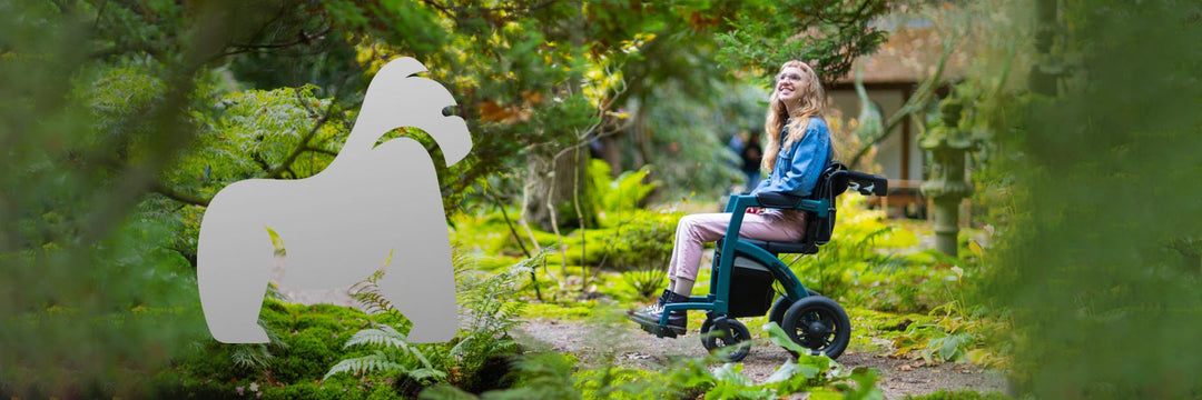 2 in 1 Rollator & Rollstuhl