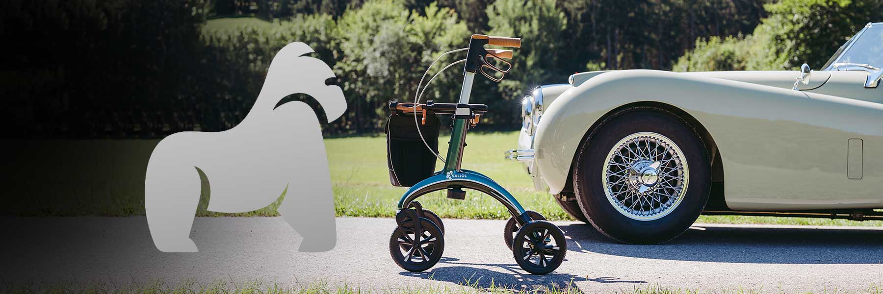 Carbon Rollator günstig online kaufen – Echte Leichtgewichte