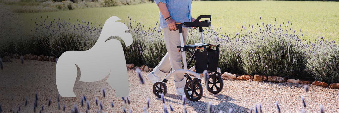 Rollator für Outdoor-Aktivitäten günstig online kaufen