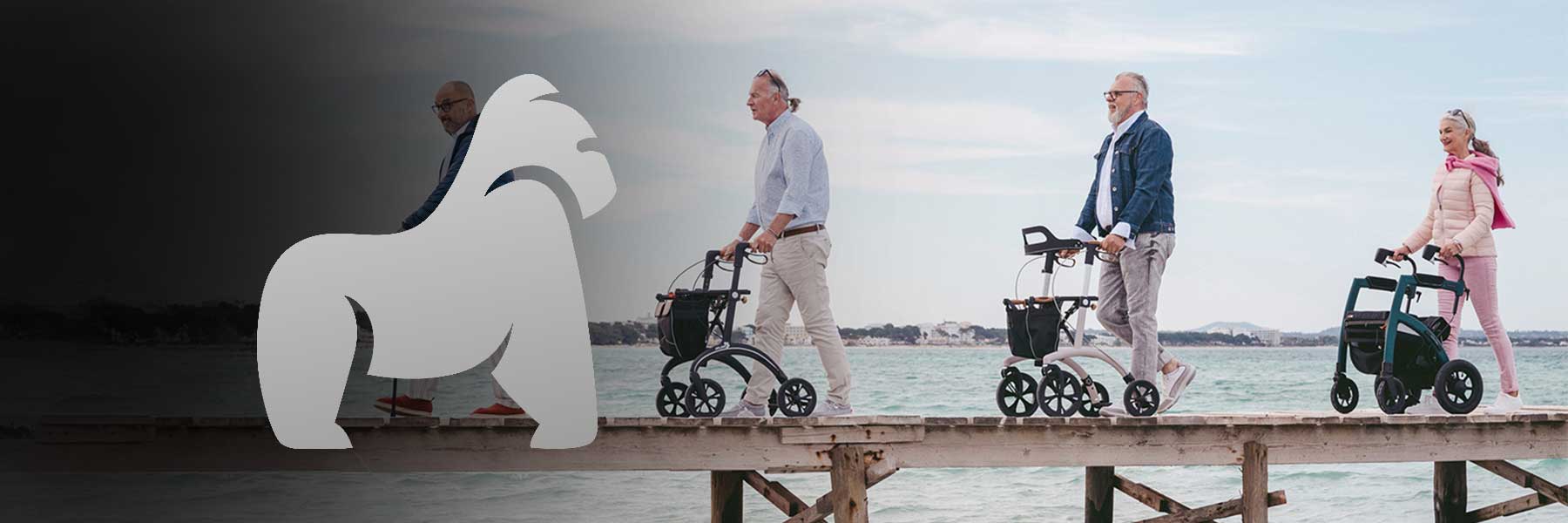 Gorilla-Gesund-rollator-Kategorie-1800x600
