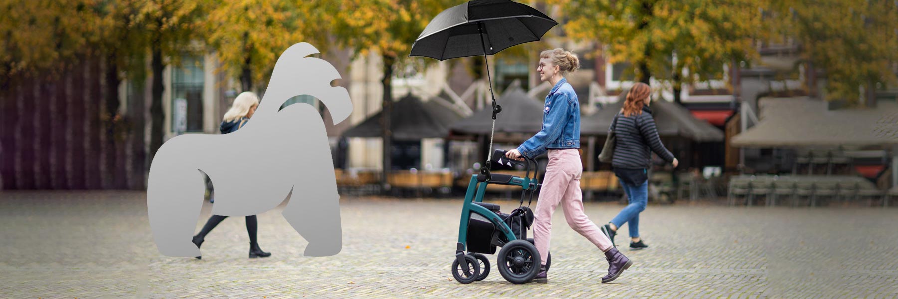 Rollz Rollator Zubehör
