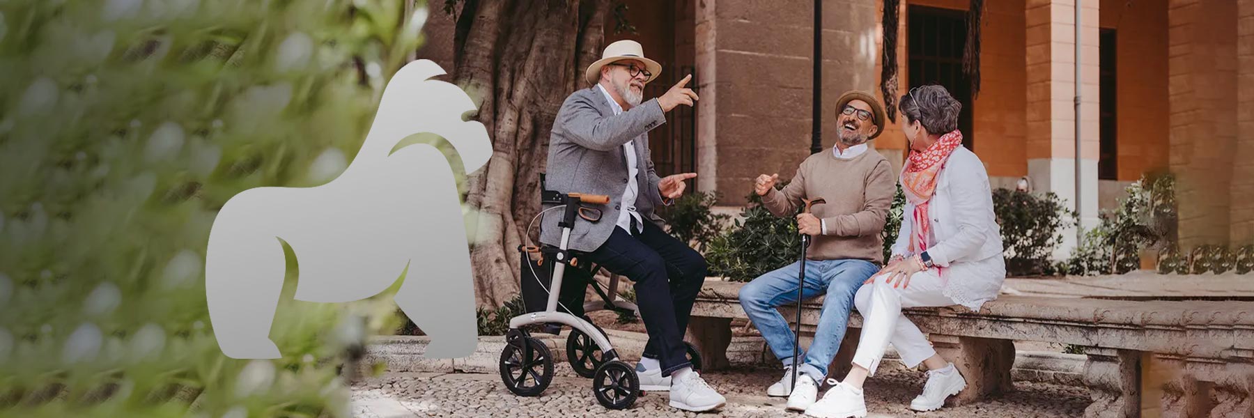 Saljol Rollator