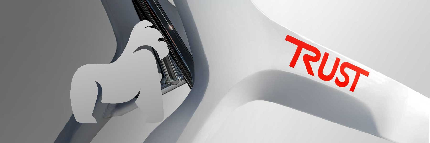 Trust Care Rollator kaufen beim Experten