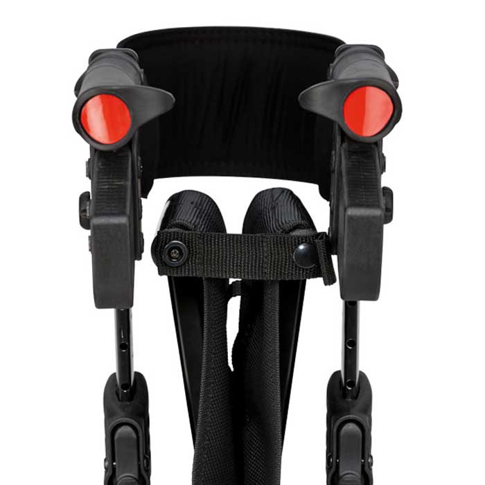 Rollator_ALEVO_country_platin_8_Gorilla_Gesund