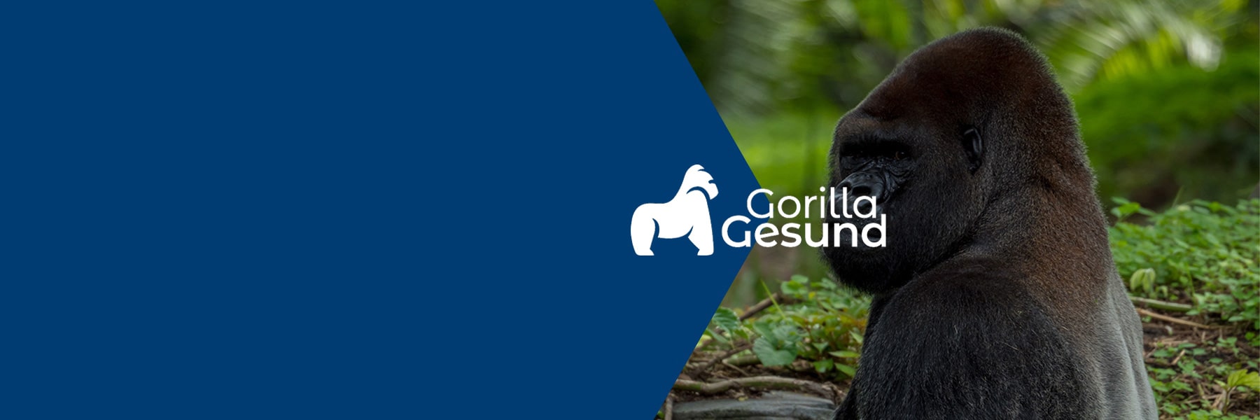 gorilla-gesund-mission-ueber-uns-mit-logo