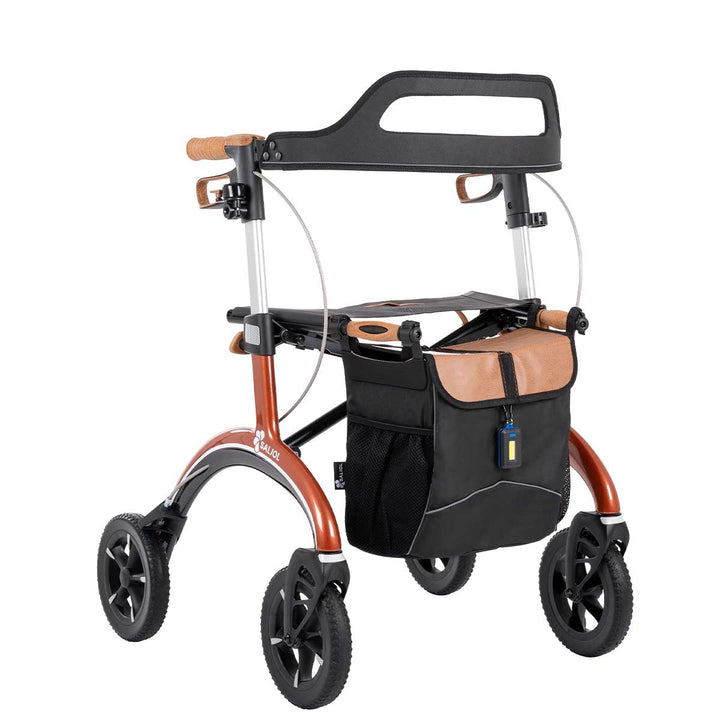 Saljol Rollator en carbone incl. équipement complet