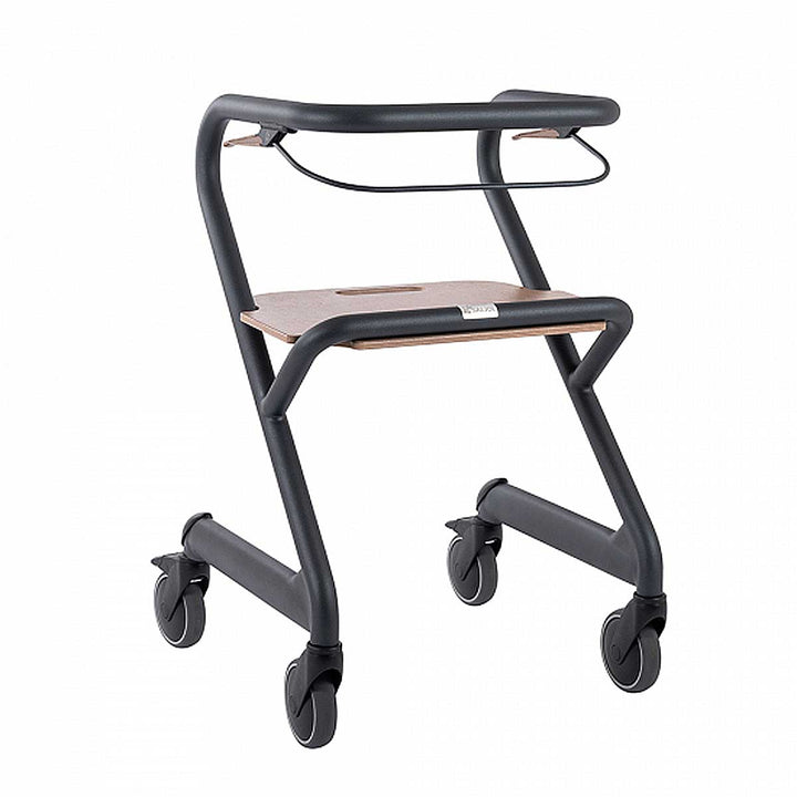 saljol-wohnraumrollator-wr55-gorilla-gesund