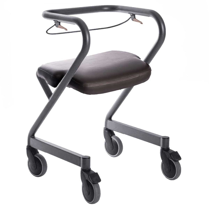 saljol-wohnraumrollator-wr55-polstersitz-gorilla-gesund